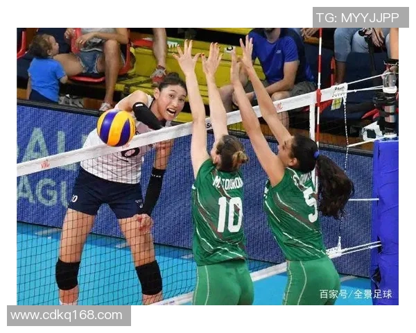 成都排球队实力深度解析与对手力量对比全景分析