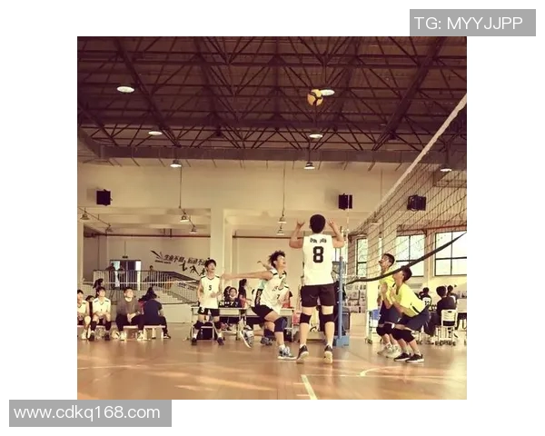 排球灵活性排行榜揭晓成都排球队荣获第三名成就辉煌