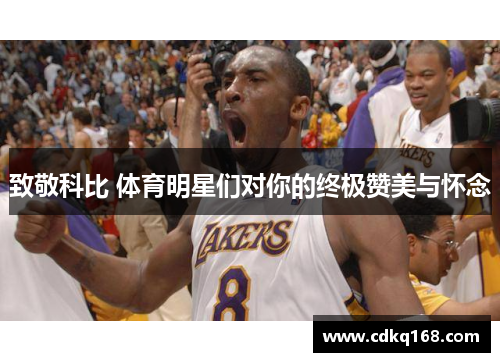 致敬科比 体育明星们对你的终极赞美与怀念