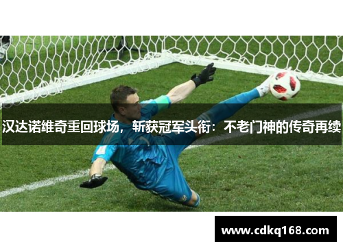 汉达诺维奇重回球场，斩获冠军头衔：不老门神的传奇再续